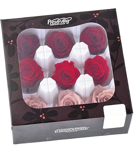 Amazon｜大地農園 日本製 プリザーブドフラワー ローズ かのん L 花径